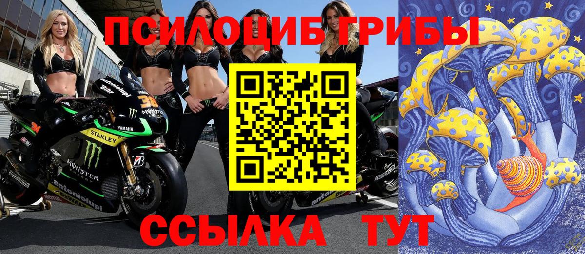 Псилоцибиновые грибы ЛСД Фролово